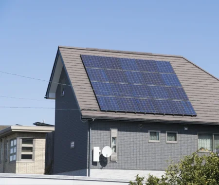 What You Need to Know Before Installing Solar Panels