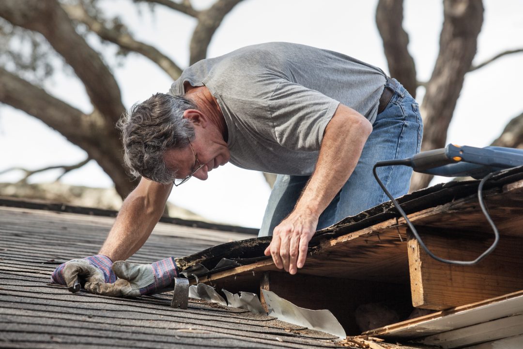 Close up view of man using removing rotten wood from leaky roof. After removing fascia boards he has discovered that the leak has extended into the beams and decking.
