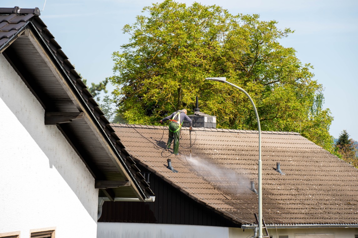 The Art of Roof Cleaning - Roof repairer
