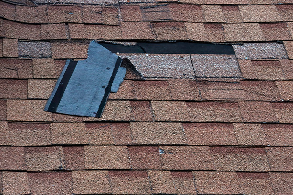 roof