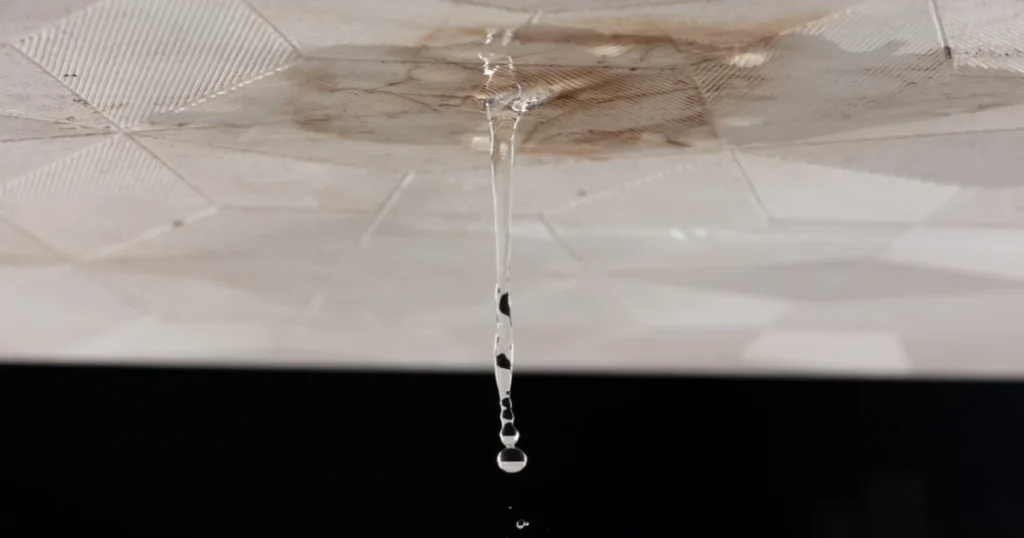 A House With a Leaking Roof