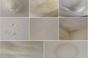 Early Visual Signs You Should Not Miss