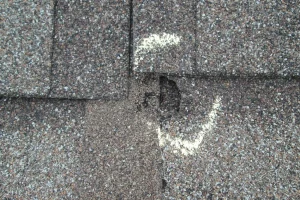 Easy Ways to Spot Roof Damage Early