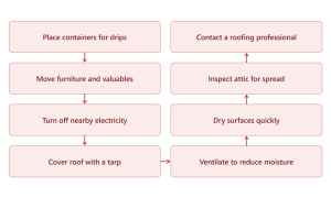 Immediate Actions You Should Take