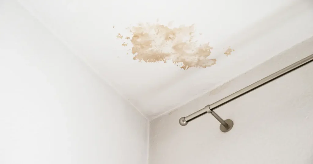 Leaking Roof at Night