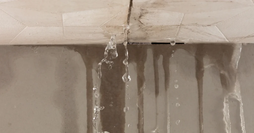 Roof Damage From Water Leaks